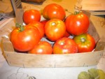 DSCN5755.JPG