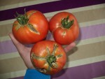 Les trois supersteak