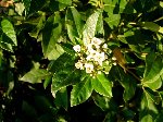 DSC00723.JPG