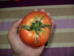 DSC03780.JPG