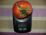 DSC03779.JPG