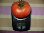 DSC03778.JPG