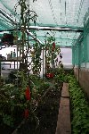 IMG_8042.jpg