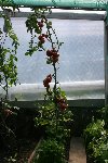 IMG_8052.jpg