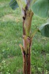 IMG_3865.JPG
