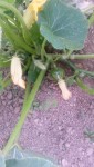 20140730_214242.jpg