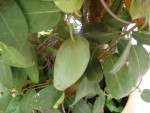 DSC02140.JPG