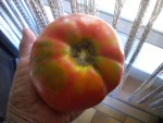 DSCN5758.JPG