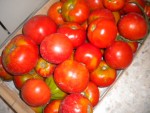DSCN5757.JPG