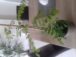 20140801_151436.jpg