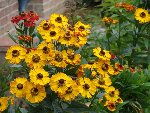 DSC01562.JPG