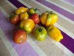 DSC03850.JPG