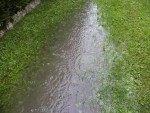 L'accumulation d'eau dans la pelouse (il y avait une quinzaine de centimètres de profondeur par endroits)