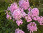 DSCN5764.JPG