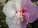 DSCN5762.JPG