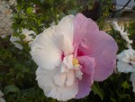 DSCN5759.JPG