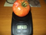 DSC03993.JPG