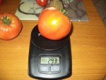 DSC03992.JPG