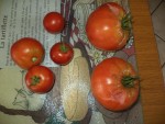 DSC03989.JPG