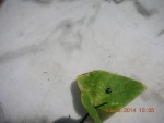 DSCN5937 2.jpg