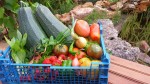 panier repas.jpg