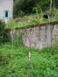 DSCN7122 (375x500).jpg