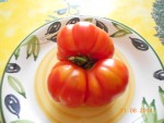 Une deuxième Marmande gamme XL.