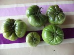 Les seules tomates non atteintes