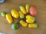 Les tomates
