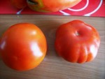 jolies tomates.jpg