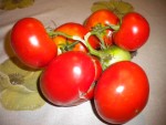 DSCN5797.JPG