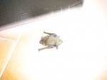 DSCN5776.JPG