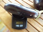 Une aubergine longue