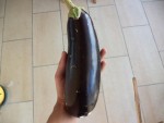 DSC04157.JPG