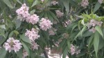 2014-06-25-733.jpg