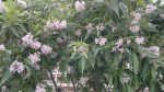 2014-06-25-734.jpg