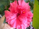 DSCN5796.JPG