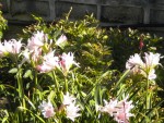 DSCN5789.JPG