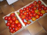 DSCN5798.JPG