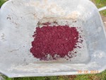 Très bon pour le compost !