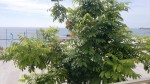 2014-07-13-755.jpg