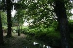 une partie du ruisseau