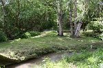 IMG_0468_1.jpg