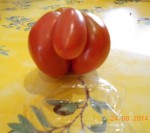Fruit étrange (2).JPG