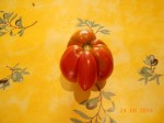 Fruit étrange.JPG