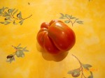 Fruit étrange (3).JPG