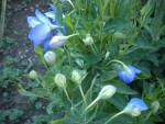 DSCN5791.JPG