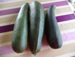 Les trois courgettes récoltées