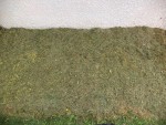 Voici l'emplacement ou vont être plantées les salades.<br />Cet emplacement à été recouvert d'une quinzaine de centimètre de tontes de gazon il y a environ 4 jours.