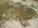 DSC04086_2 (Copier).jpg